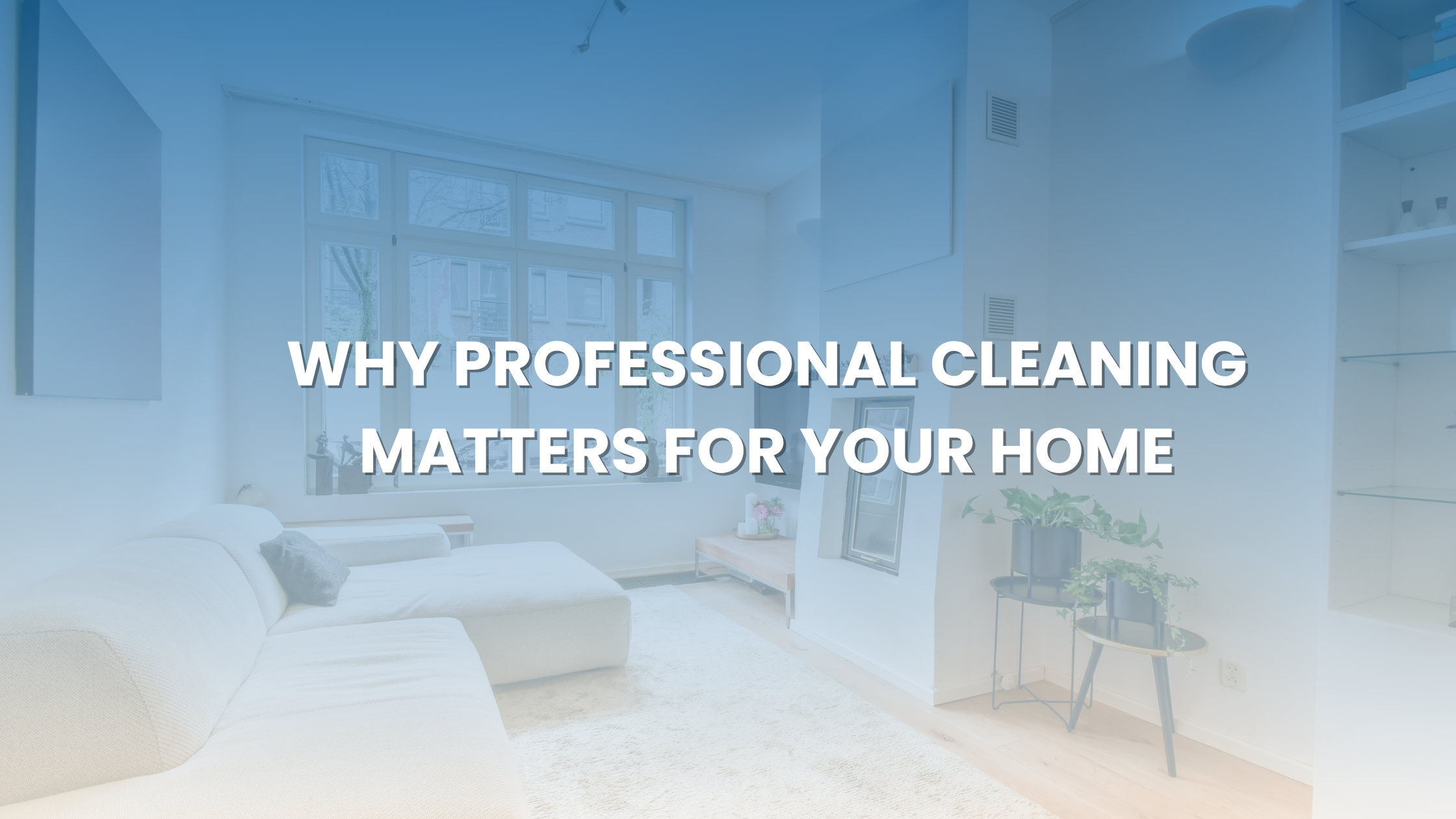 Why Professional Cleaning Matters for Your Home