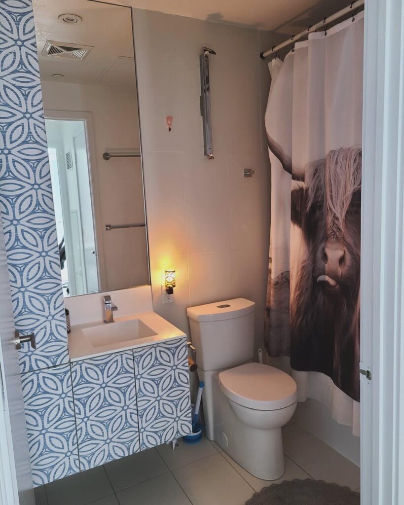 Why Professional Cleaning Matters for Your Home